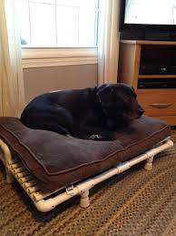 Elevated dog beds are perfect for getting your pooch off the hard floor. Pin On Crafts And Projects