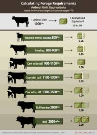 Grazing Management Beef Cattle Research Council