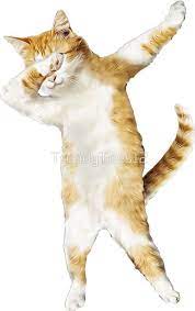 Dabbing Cat Kitten Funny Dab Tee Cool Dance Kitty Sticker By Trendytees12 Kittens Funny Cats And Kittens Cats