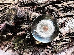 夢天涯很在乎您們傳來的訊息喔 為了及時回復您的訊息 兩支手機可是24小時綁在手上呢 但 夢天涯有點小累了 因為有些訊息是晚上接收的 00 00 03 00 謝謝一群夜晚打拼人的默默支持 但夢天涯還是需要休息的 我們訂了營業時間09 30 22 celestial outdoor celestial