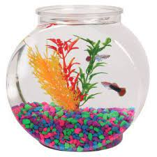 Null Fish Bowl Decorations Glass Fish Bowl Fish Bowl