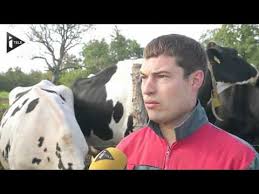 Click to view this post. Un Eleveur Met En Vente Ses Vaches Sur Le Bon Coin Youtube