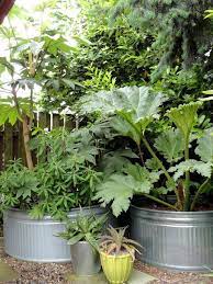 The Rest Of The Back Garden Jungle Gardens Garden Nook Garden Jungle Gardens Small Jungle Garden Ideas Wildlife Garden Design