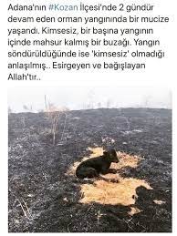 Yangında içerde bulunan 3 buzağı. Oldurmeyeni Allah Oldurmuyor Guzel Ve Anlamli Sozler Facebook