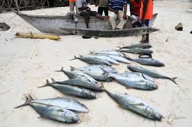 Image result for Scombroid Fish Poisoning