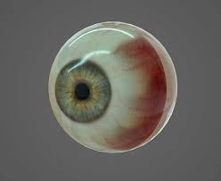 Free 3d Human Eye Model Free C4d Models