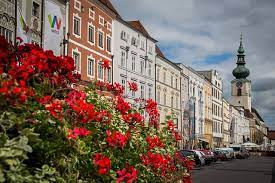 Jul 30, 2021 · wels center for mission and ministry. Catfish City Of Wels Austria Free Photo On Pixabay