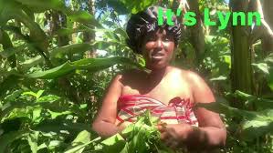 Image result for Momordica foetida