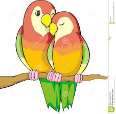 Love Birds Stock Illustration Illustration Of Birds Male 8018122 Bird Drawing For Kids Love Birds Drawing Animal Illustration Kids