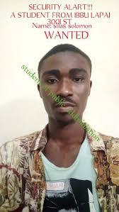 Ibrahim Badamasi Babangida University (IBBU), Lapai Alumni