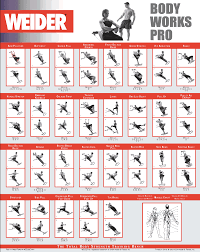 64 Explicit Weider 2980x Exercise Chart Pdf