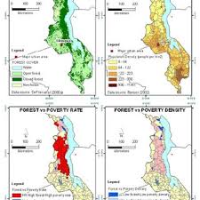 Image result for Phyllanthus pseudocarunculatus