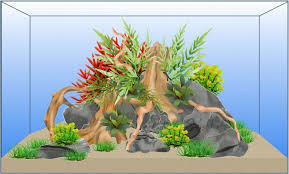 Wurzeln für dein perfektes aquascape. Der Aquascaping Blog Aquascapia