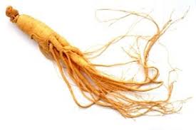 You can grow ginseng from seed or from seedlings. 6 Insider Secrets To A Successful Ginseng Growing Business Profitable Plants