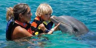 Dolphin Cove Ocho Rios Jamaica Tours Disney Cruise Excursions Disney Land And Sea Disney Cruise