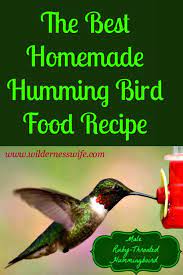 Homemade Hummingbird Food Recipe The Wilderness Wife Recipe Hummingbird Food Homemade Hummingbird Food Food