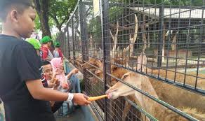 Image result for 6 Keindahan Taman Harmoni Surabaya, TPA yang Disulap Jadi Tempat Cantik