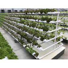 While researching different types of grow systems, consider nft the power in nft hydroponic systems is their ability to provide plants with a consistent delivery of. 2020 Industrielles Gewachshaus Nft Hydro Ponik System Vertikal Zu Verkaufen Buy Hydroponics System Vertical Nft Hydroponics System Industrial Hydroponic System Product On Alibaba Com
