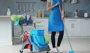 La vidéo emilie, employée de ménage à domicile est désormais disponible sur la web tv de la dge. Femme De Menage Strasbourg A Decouvrir Chez Oh Top