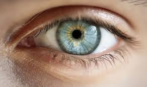 Ein gerstenkorn oder hordeolum ist eine akute eitrige entzündung eines wimpernfollikels und der. Gerstenkorn Ursachen Behandlung Netdoktor At