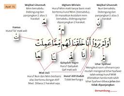 Akan tetapi di sini penulis hanya ingin menjelaskan kesalahan mereka yang menyandarkan tentang fadhilah dan keutamaan surat yasin kepada nabi shallallahu 'alaihi wa sallam. Contoh Mad Jaiz Munfasil Dalam Surat Yasin Bagi Contoh Surat