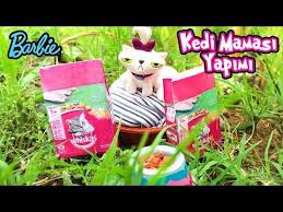 Youtube Goruntuler Ile Barbie Kedi Youtube