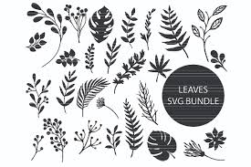 Leaves Clip Art Bundle Graphic By Meshaarts Creative Fabrica