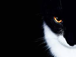 20 000 gambar hitam putih putih gratis pixabay temukan gambar hitam putih gratis untuk komersial tidak perlu kredit bebas hak cipta. Black White Wallpapers Hd 1 0 Apk Download Com Blackwhitewallpapershd Shafiulla Apk Free