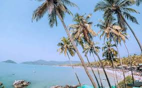 3 Best And Coolest Hostels In Goa 2021 Solo Traveler Party Map Enamoured with its forests, i took the train back to. 3 best and coolest hostels in goa 2021