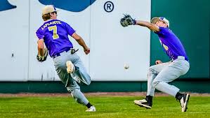 Livingston County high school baseball preview