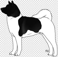 Teddy Bear Dog Collie Terrier Drawing Breed Snout Paw Transparent Background Png Clipart Hiclipart I've been making teddy bears for 6 years and giving «live» workshops for 3 years. teddy bear dog collie terrier