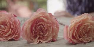 How to revive wilted roses time lapse. 5 Creative Ways To Preserve Funeral Flowers Bakken Young Funeral Home River Falls And New Richmond Wi