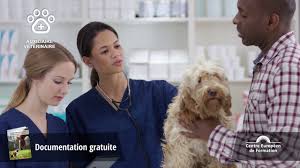 Une mine d'info sur les métiers avec les animaux : Pub Tv 2018 Formation Metiers Animaliers Du Cef Youtube