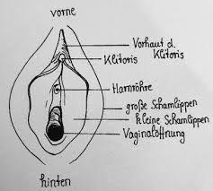 A statistical overview and exploration of the dynamics of change, 2013. Die Weibliche Genitalverstummelung Fgm Zinduka E V