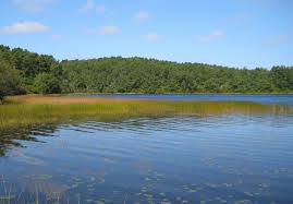 Great savings & free delivery / collection on many items. Cape Cod S Kettle Ponds Are Showing Signs Of Climate Change Connecticut Public Radio