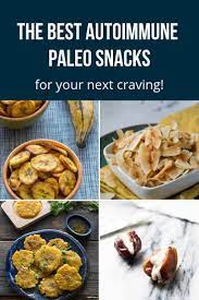 The Best Aip Diet Snacks For Your Next Craving Autoimmune Paleo Recipes Paleo Diet Snacks Autoimmune Paleo Meal Plan