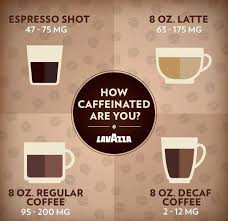 How many scoops of coffee for 12 cups. How Much Coffee For 10 Cups Espresso Expert
