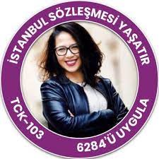 Evetçiler chp iti şeklinde nefret kusup hem chp ye hem serra kadıgil e nefret kusuyorlar. Sera Kadigil Serakadigil Twitter