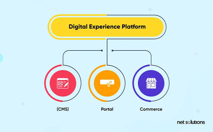 Digital Experience Platforms: Everything You Need To Know