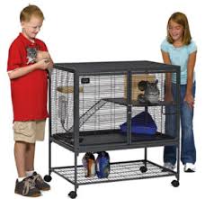 Diy chinchilla cage from ly chinchillas. Best Chinchilla Cage For Your New Pet Exotic Animal Supplies