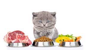 Maybe you would like to learn more about one of these? Cara Membuat Makanan Kucing Sendiri Kucingmania