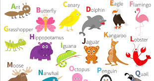 Don't forget to look closely at the. Help Kids Learn Their Abcs With These Fun Abc Songs