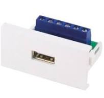 フェイスプレート シングルギャング 1極 メス CIE CIE 基板用 ...