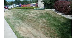 A good rule of thumb is to water the day before you plan to overseed so the soil has a little time to dry. Sept Is A Good Time To Overseed Your Lawn Morning Ag Clips