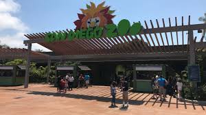You can also search using an animal's name or identification number, if you have it. San Diego County Attractions Prepare To Close Amid New Stay At Home Orders