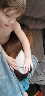 Meeting his new baby brother, already protective