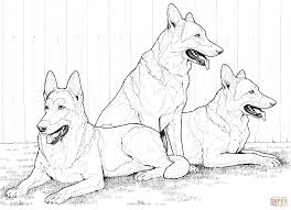 Check spelling or type a new query. Printable 14 Realistic Husky Coloring Pages 4715 Siberian Husky Coloring Home
