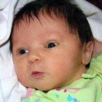 Ava Brooke Scheckel Obituary