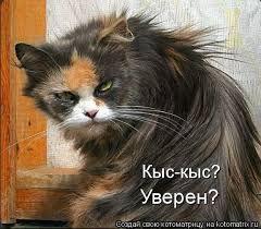 Эти забавные животные. Часть 4 - bigmir)net