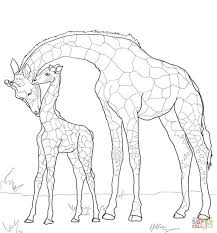 Baby Giraffe And Mother Coloring Page Free Printable Coloring Pages Giraffe Coloring Pages Baby Giraffe Deer Coloring Pages